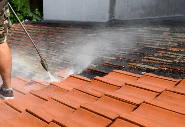 Best Affordable Pressure Washing  in Woodruff, SC