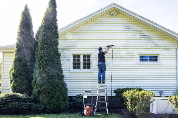 Deck Cleaning Services in Woodruff, SC